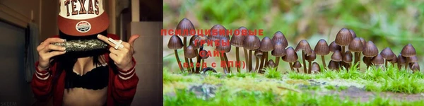 MESCALINE Михайловск