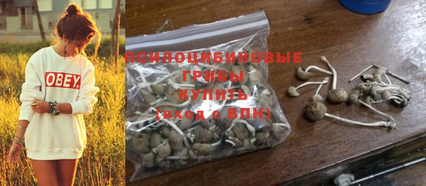 MESCALINE Михайловск