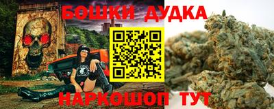apvp Лесосибирск