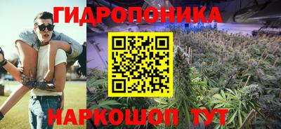 apvp Лесосибирск