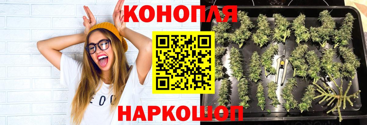 Шишки марихуана сатива Южноуральск